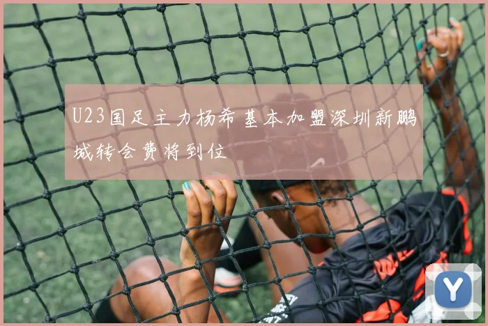 U23国足主力杨希基本加盟深圳新鹏城转会费将到位