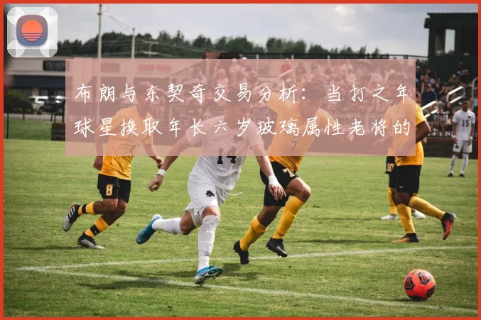 布朗与东契奇交易分析：当打之年球星换取年长六岁玻璃属性老将的利弊探讨